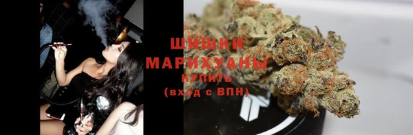 apvp Магас