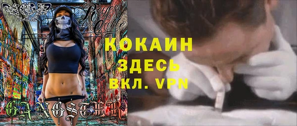 apvp Магас