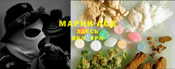 apvp Магас