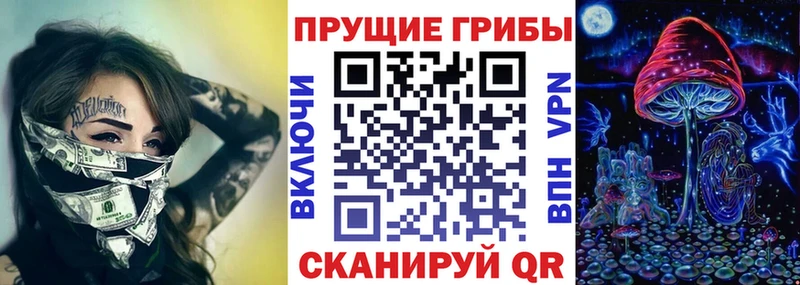 цены   Петушки  Псилоцибиновые грибы GOLDEN TEACHER 